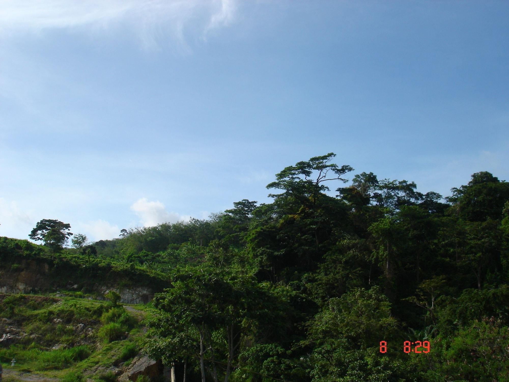 Patong Lamai Guesthouse מראה חיצוני תמונה